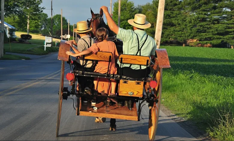 amish oil change