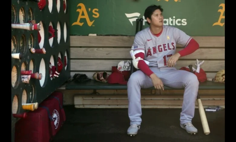 shohei ohtani injury