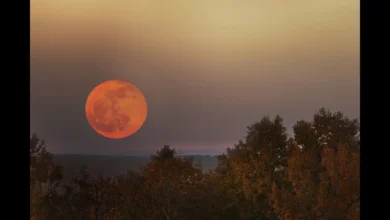 orange moon