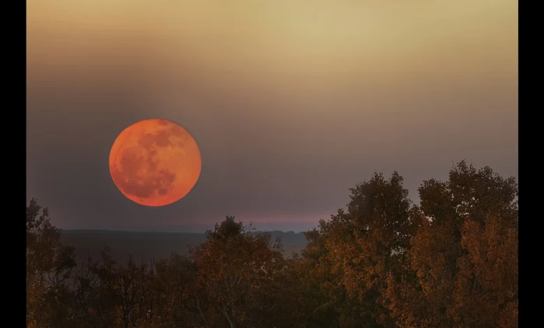 orange moon