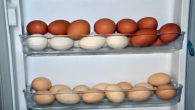 How Long Can Frozen Eggs Be Stored?